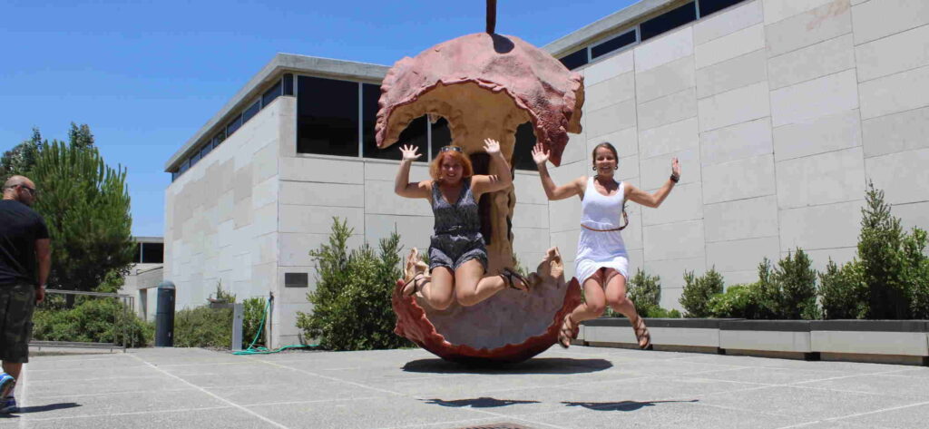 The Israel Museum in Jerusalem