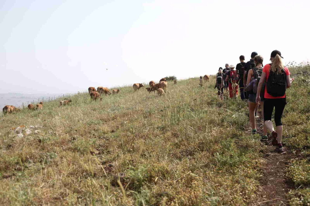 hiking trip