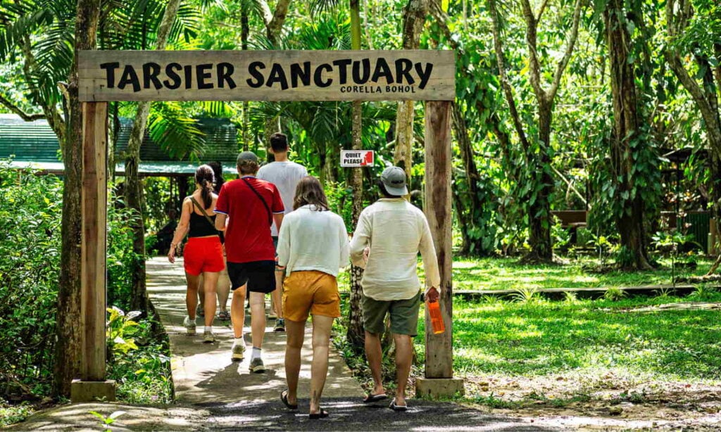 Bohol Tourist Spots: tarsier sanctuary