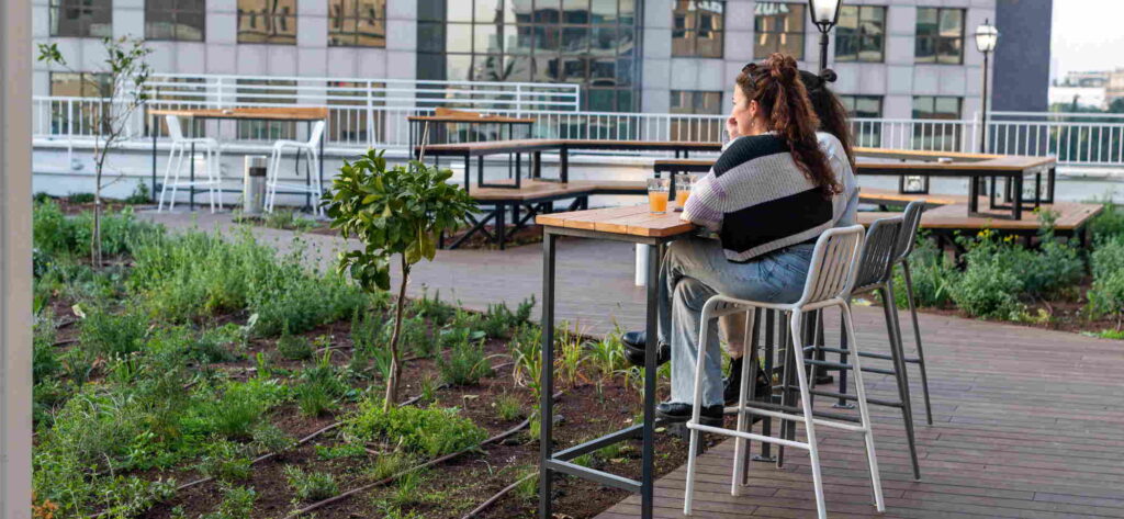 abraham rooftop