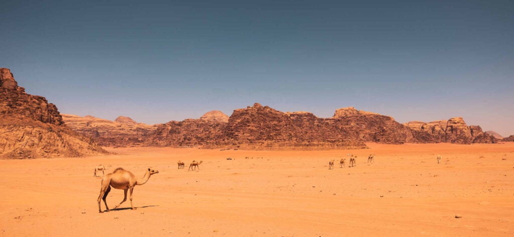 petra