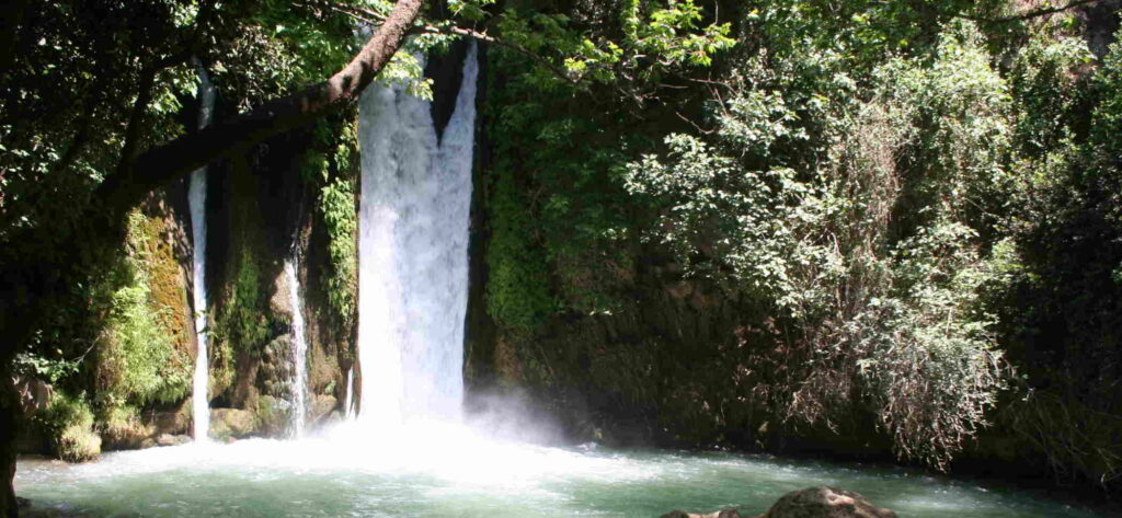 tours in israel