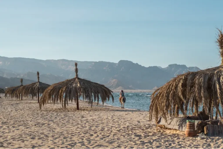 sinai beach view