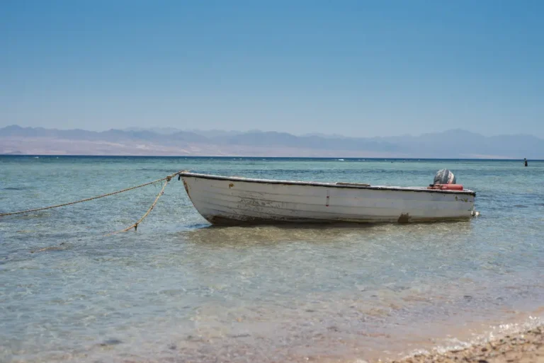 sinai beach view