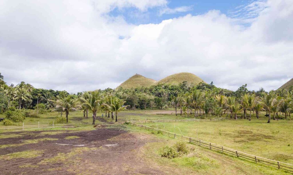 Chocolate Hills